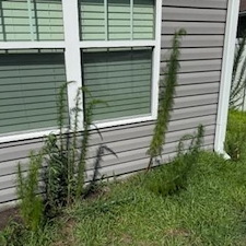 Initial-Cleanup-Service-in-Conway-South-Carolina 7